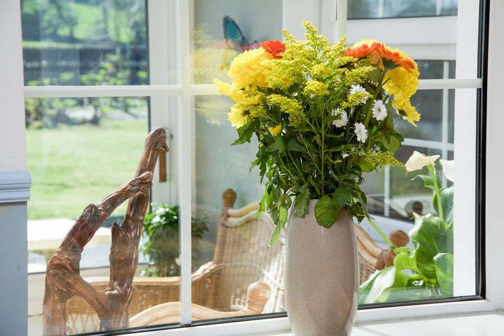 The Rose Garden Bed & Breakfast And Cafe Kenmare Extérieur photo